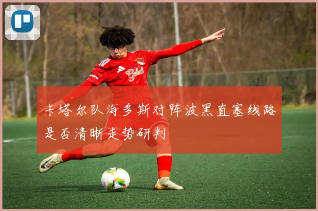 卡塔尔队海多斯对阵波黑直塞线路是否清晰走势研判
