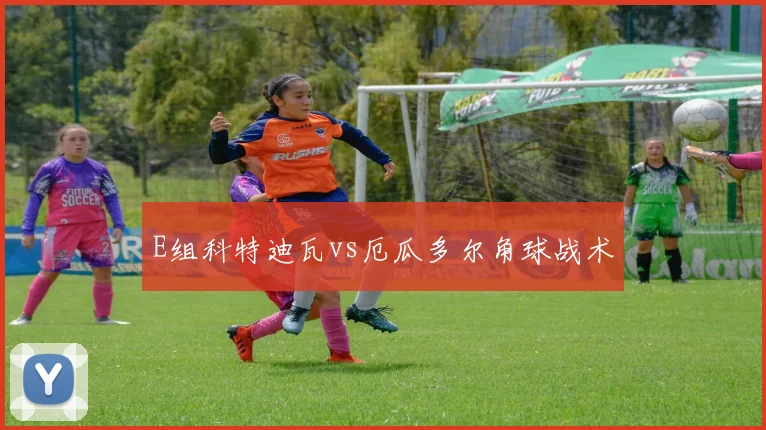 E组科特迪瓦vs厄瓜多尔角球战术