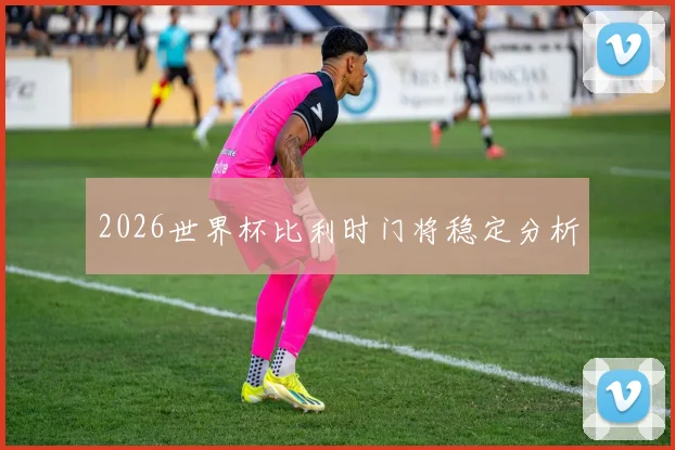 2026世界杯比利时门将稳定分析