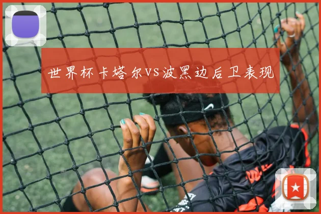 世界杯卡塔尔vs波黑边后卫表现