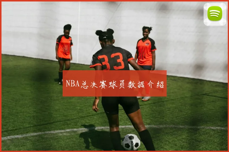 NBA总决赛球员数据介绍